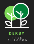 Tree Surgeon Derby